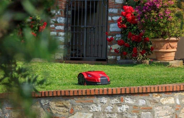 Ambrogio robot lawn mower, mowing in a garden