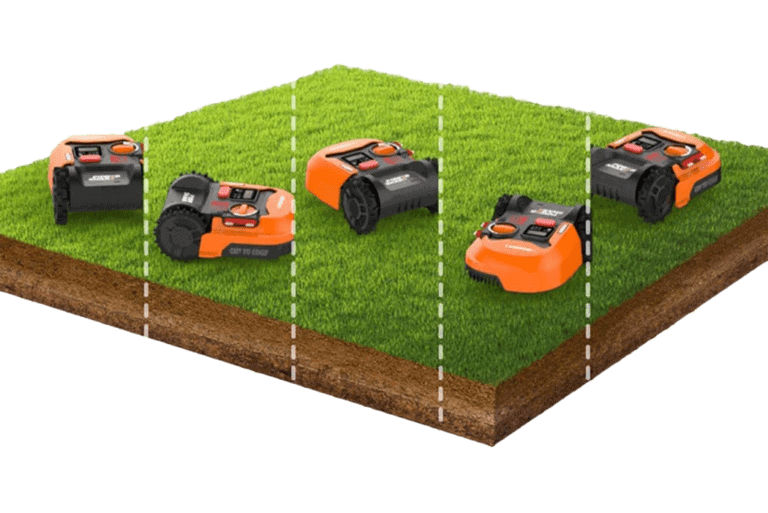 Different type of grass that a robot mower can mow