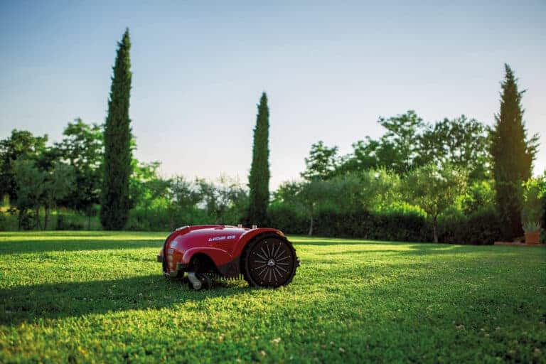 Robot mower in garden