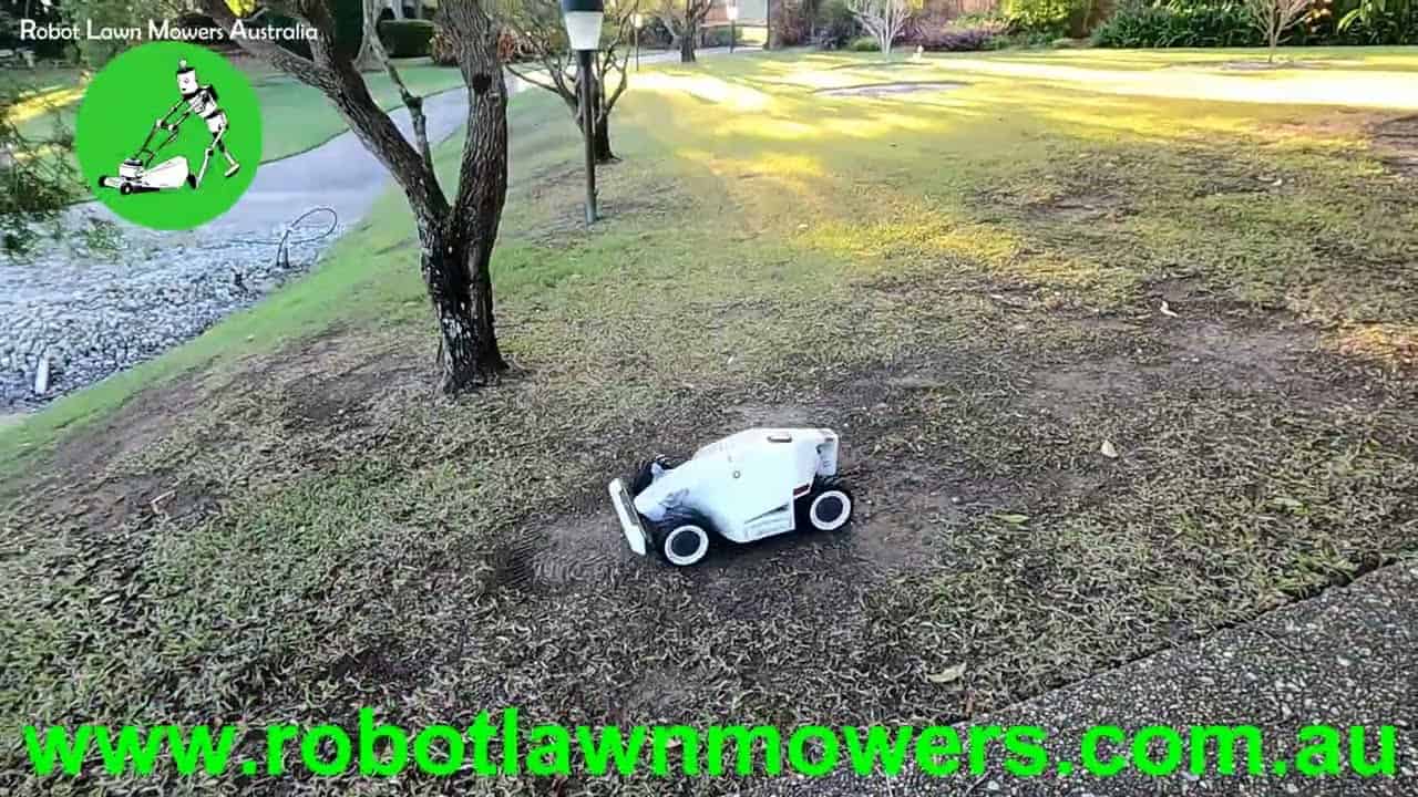 LUBA AWD5000 testing under tree coverage