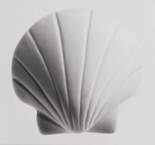 Gedeo Moulding Alginate 500g - Image 7