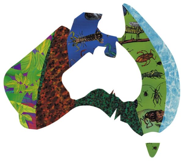 20% OFF-Australian Map Blank 35 x 16cm Pack of 10