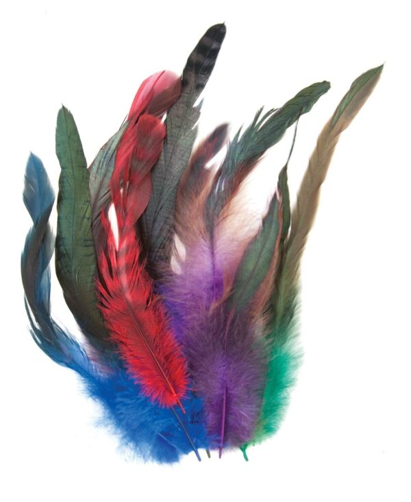 Feathers Cocktail 10 to 30cm Assorted Colours Pack of 18