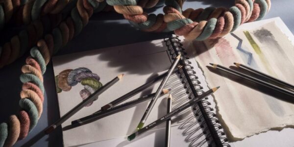 Derwent Graphitint Pencils Water Soluble 24 Set - Image 3