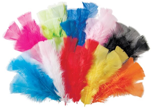 Turkey Feathers 15cm Assorted Colours 60g Bag
