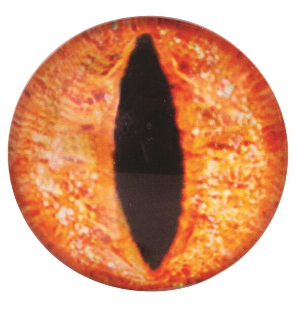 Creature Googly Eyes Pack 30 - 24mm - Image 2