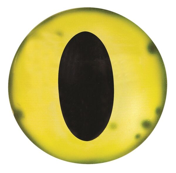 Creature Googly Eyes Pack 30 - 24mm - Image 3