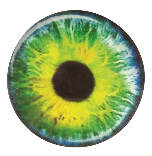 Creature Googly Eyes Pack 30 - 24mm - Image 4