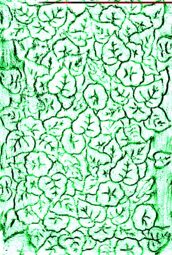 Textures Rubbing Plates Pack of 8 Designs - Image 7