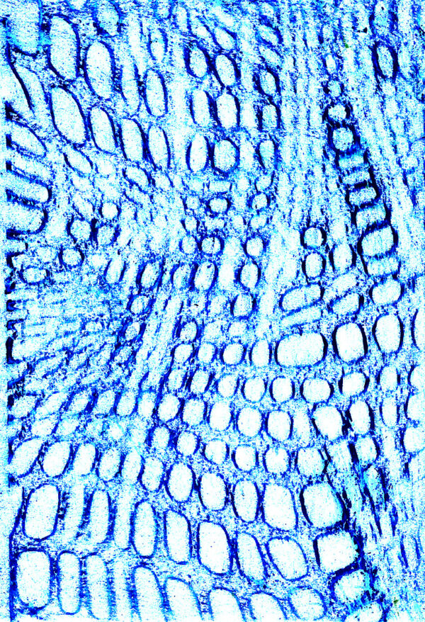 Textures Rubbing Plates Pack of 8 Designs - Image 9