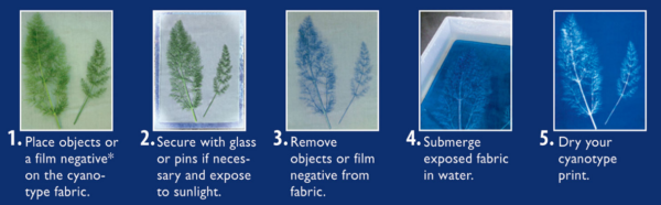 Jacquard Cyanotype Fabric Sheets 30 Pack - Image 4
