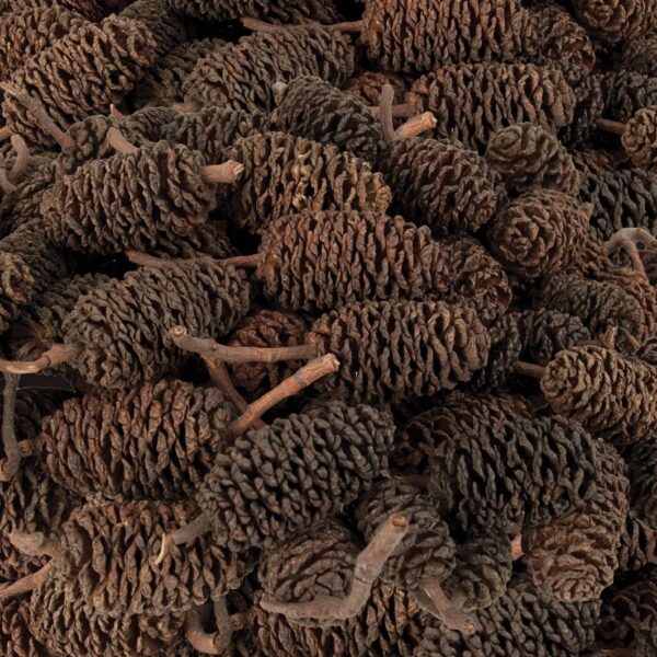 Small Pine Bud Cones 220g - Image 2