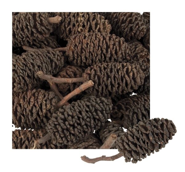 Small Pine Bud Cones 220g