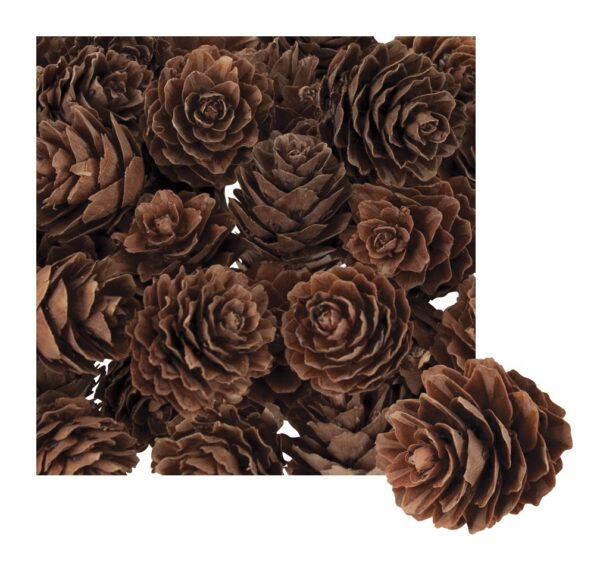Mini Pine Cones 190g